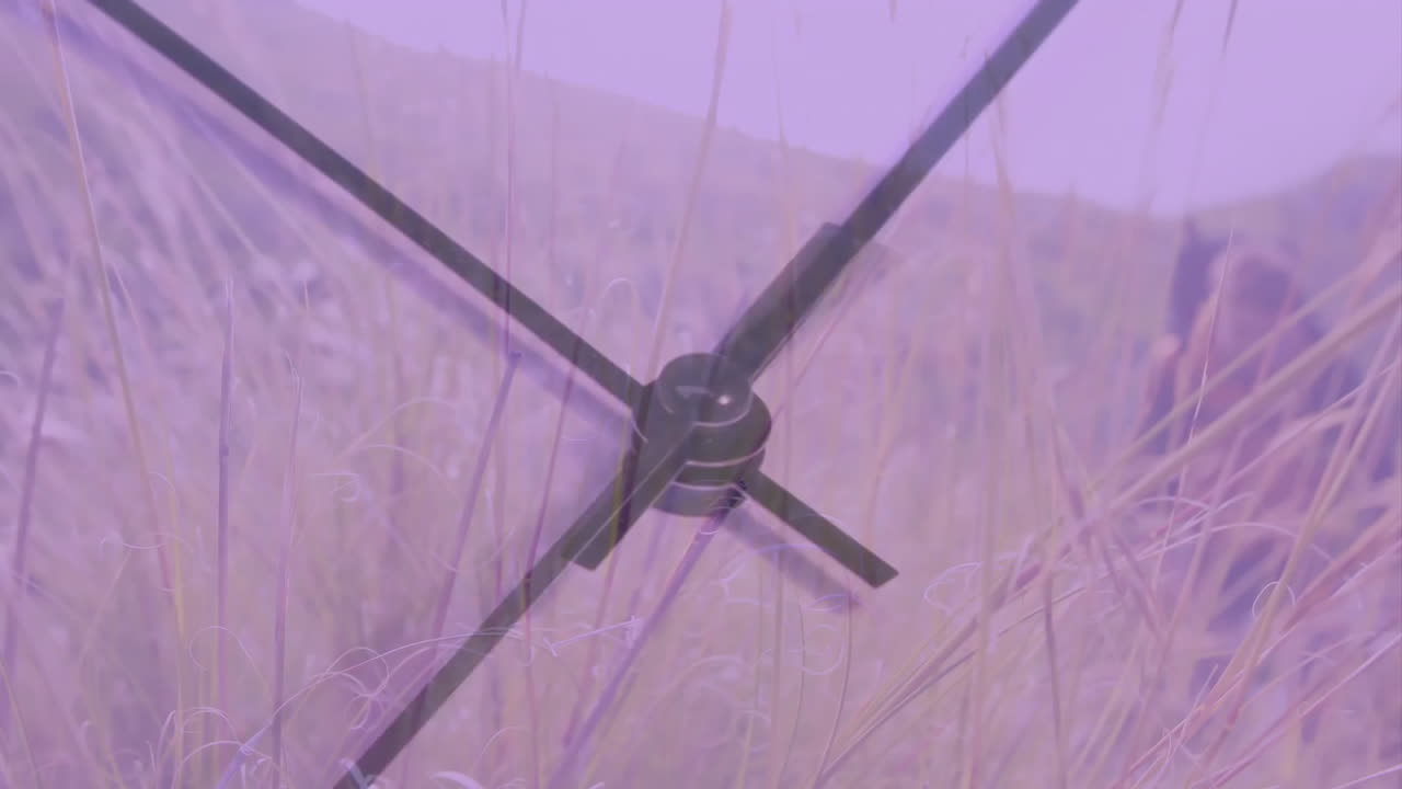 초원 배경 위에서 시계가 뛰는 애니메이션