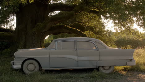 dusty vintage car parked under an old tree