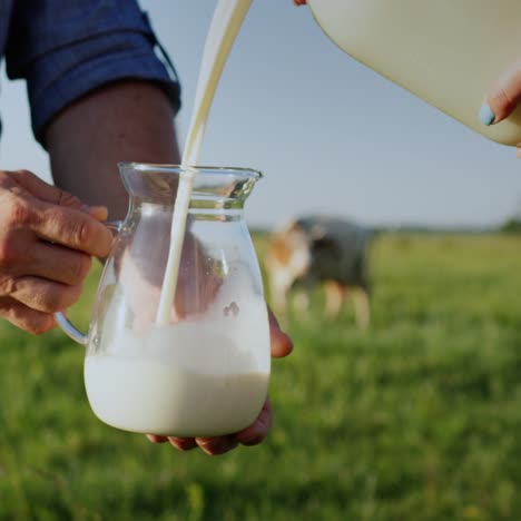 Milch-In-Einem-Glaskrug-Mit-Einer-Kuh-Im-Hintergrund