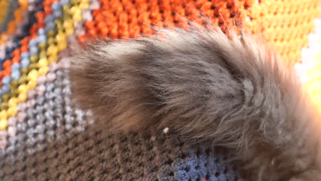 cat tail on a colorful blanket