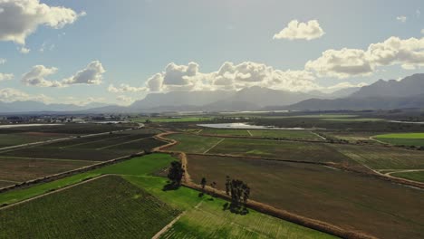 drone flying high over a beautiful landscape of vineyards with mountains in the distant on a sunny day with a few clouds in the sky