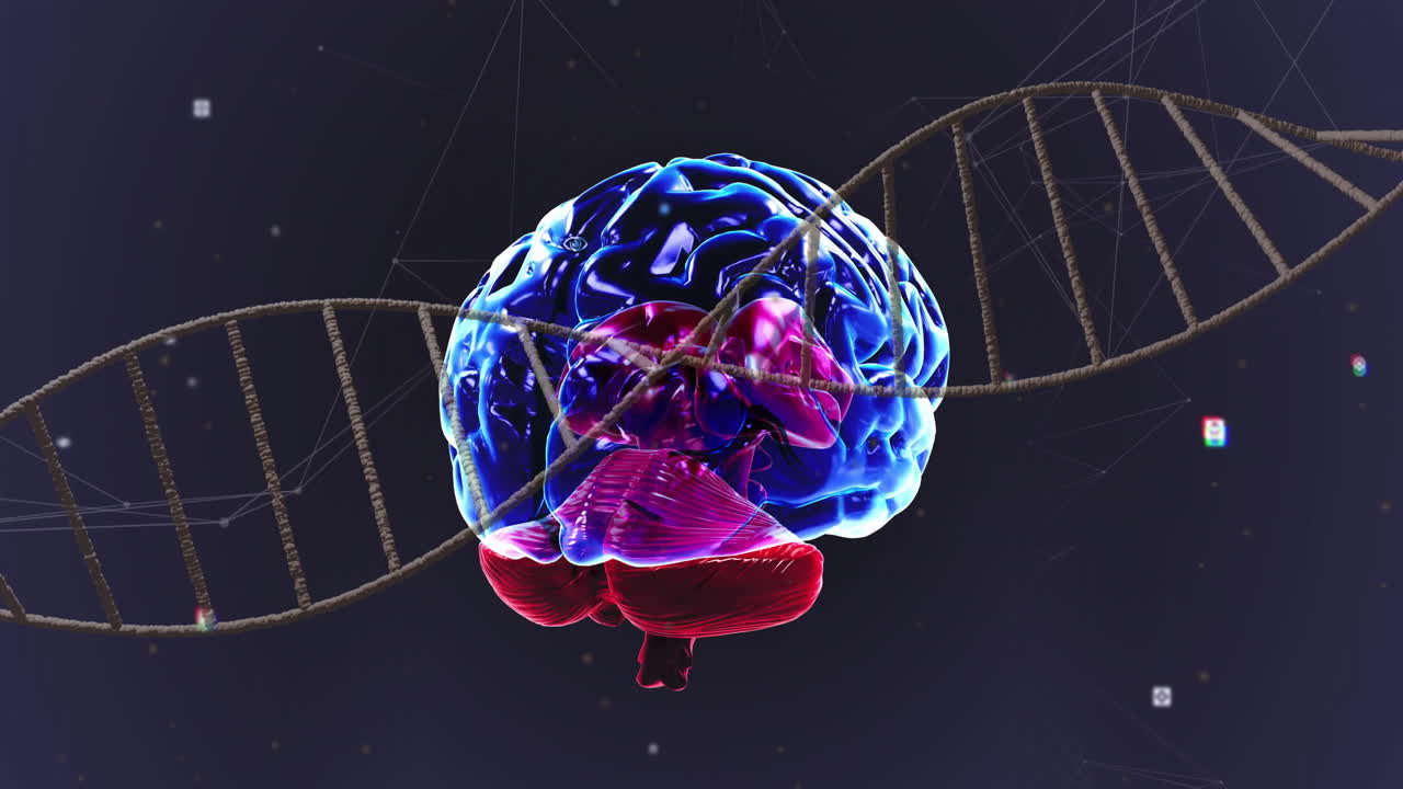 Brain and DNA strand, scientific data processing animation