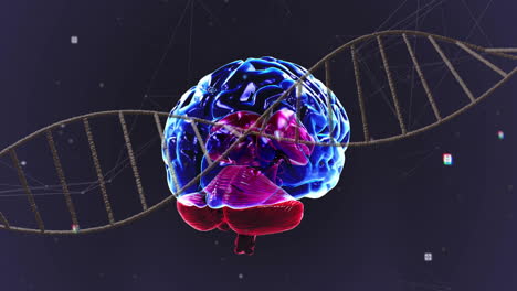 brain and dna strand, scientific data processing animation