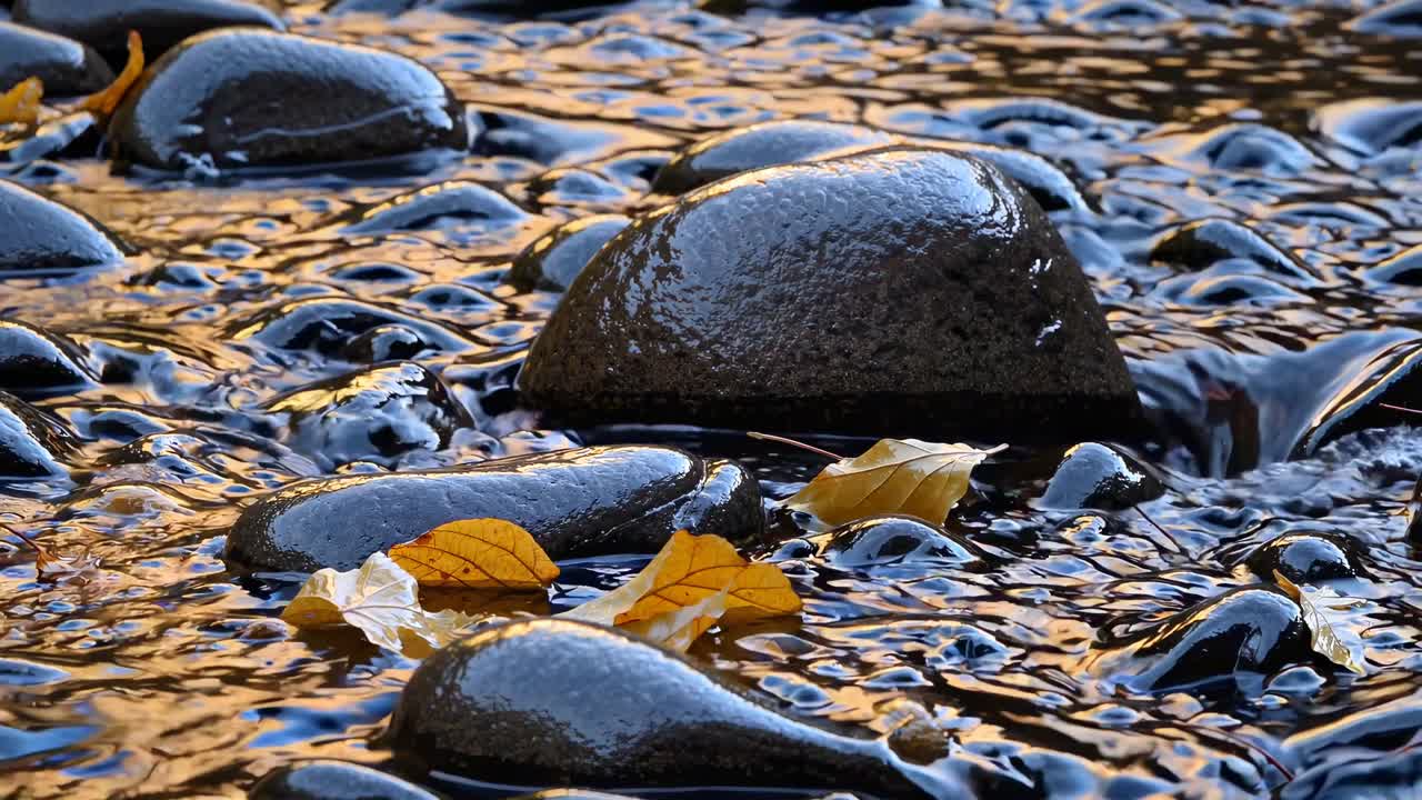Close-up video of smooth river stones and autumn leaves, captured at a low angle