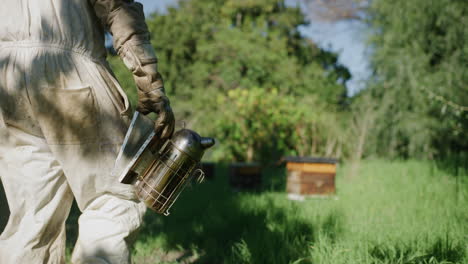 beekeeper using smoker near beehives