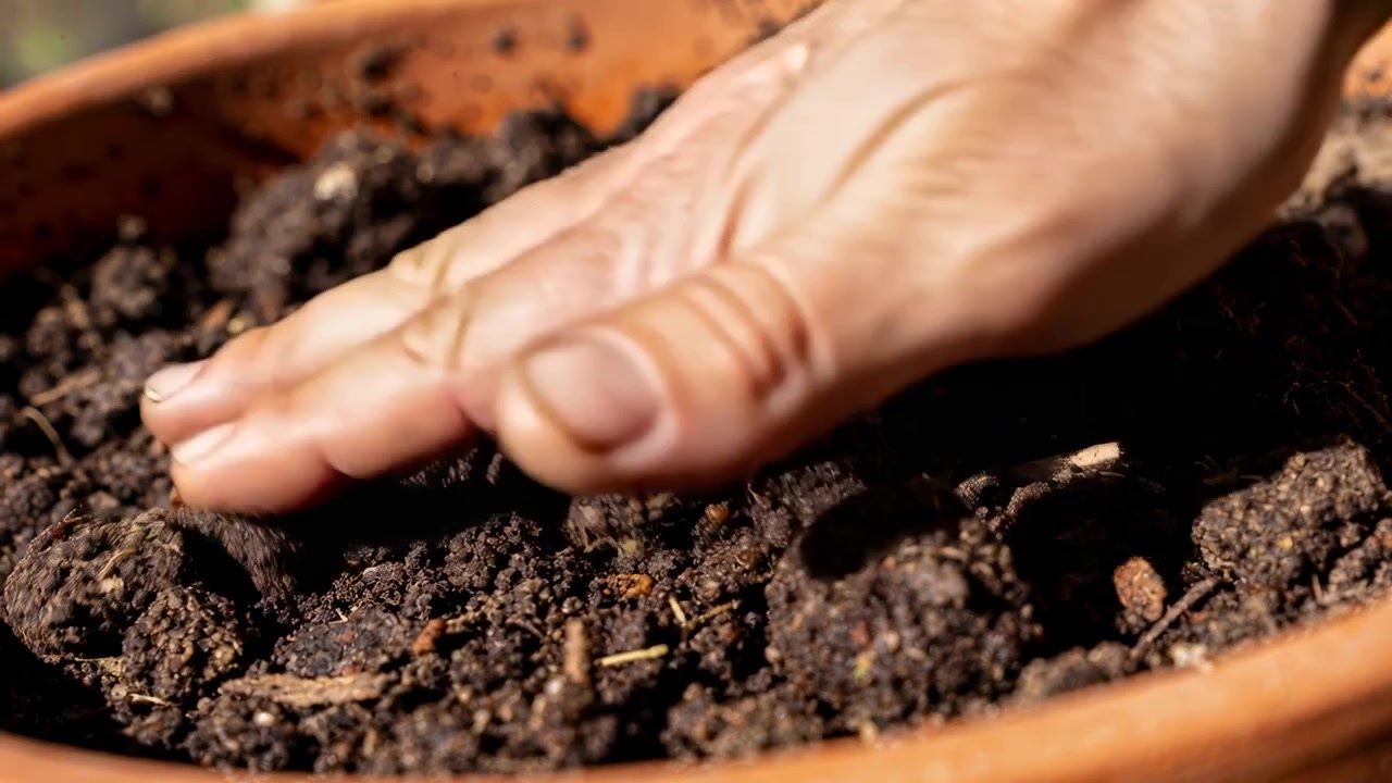 Mano che inserisce semi nel terriccio di un vaso di terracotta in un patio, premendo i palmi per livellare il terreno per la semina.