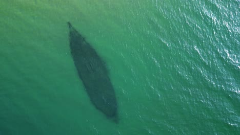 Aerial-topdown-descent-of-old-shipwreck-underwater-in-Lake-Superior,-Michigan