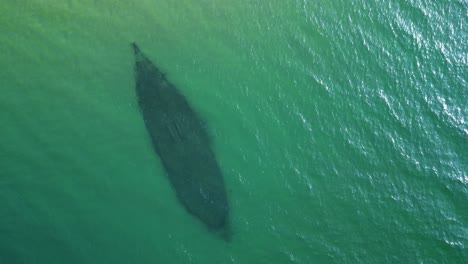 aerial topdown descent of old shipwreck underwater in lake superior, michigan
