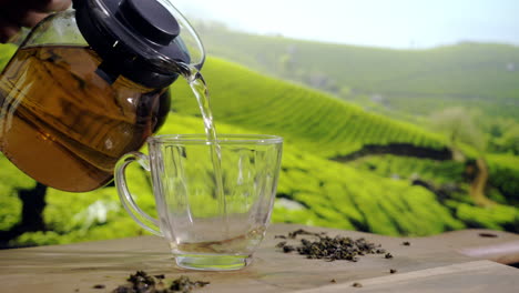 pouring black tea into a glass cup on a wooden table and tea plantation in background freshly brewed detox drink