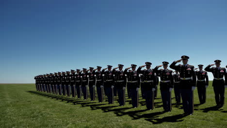 military personnel in uniform saluting on a grassy field