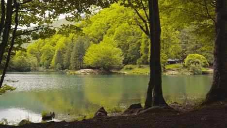 Idyllic-countryside-location,-dark-woodland,-beautiful-lake-location