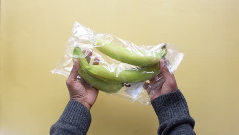 hands holding a bag of bananas