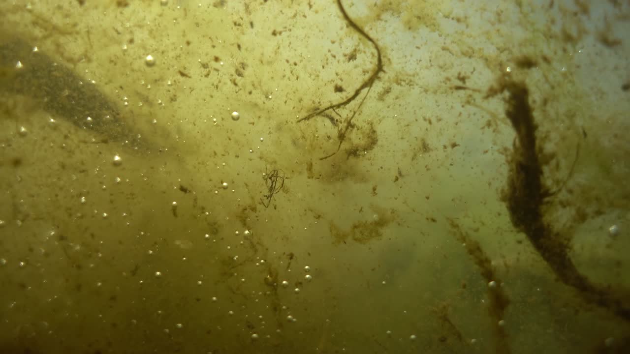 호수의 물 속의 입자들이 회전합니다.