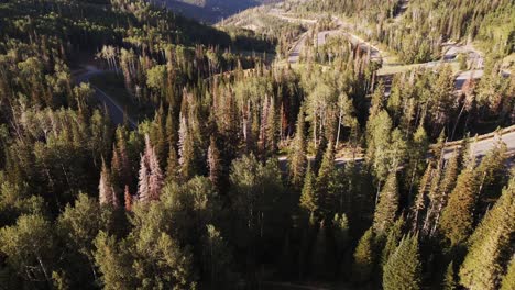 a drone pulls back and tilts over the evergreen trees of guardsman pass, utah