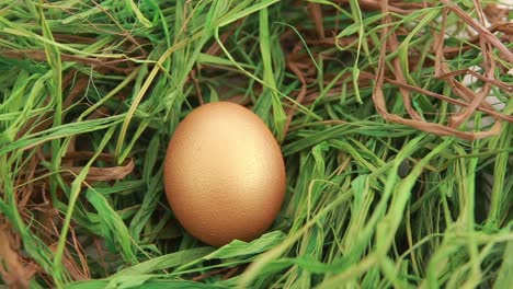 gold egg in a nest of grass