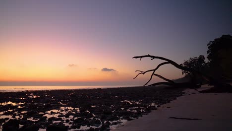 amanecer temprano en la mañana en la playa de kala pathar en las islas andaman y nicobar, india