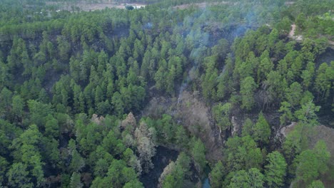 Aerial view of wildfire aftermath and environmental damage in pine forest, Honduras