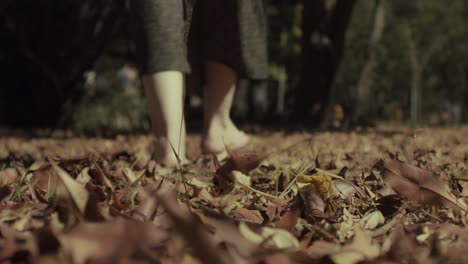 Unknown-person-walking-through-the-park,-ground-level-view