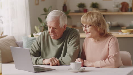 happy senior couple talking on web call on laptop