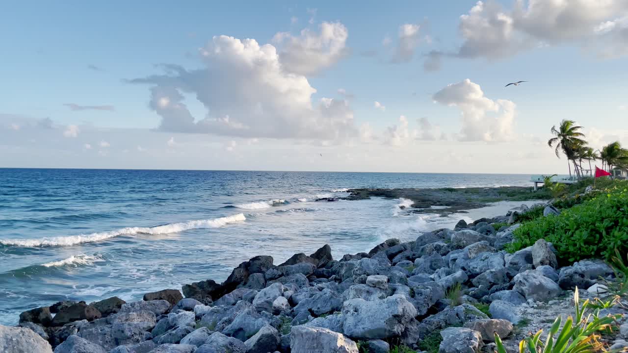 작은 파도, 나무, 그리고 멕시코 캔쿠인 근처의 럼 해변에 있는 바위