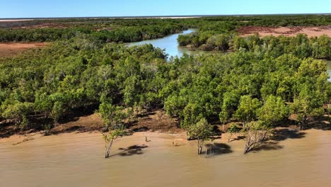 Hermoso-Bosque-De-Manglares-Y-Arroyo-En-El-Noroeste-De-Australia-1