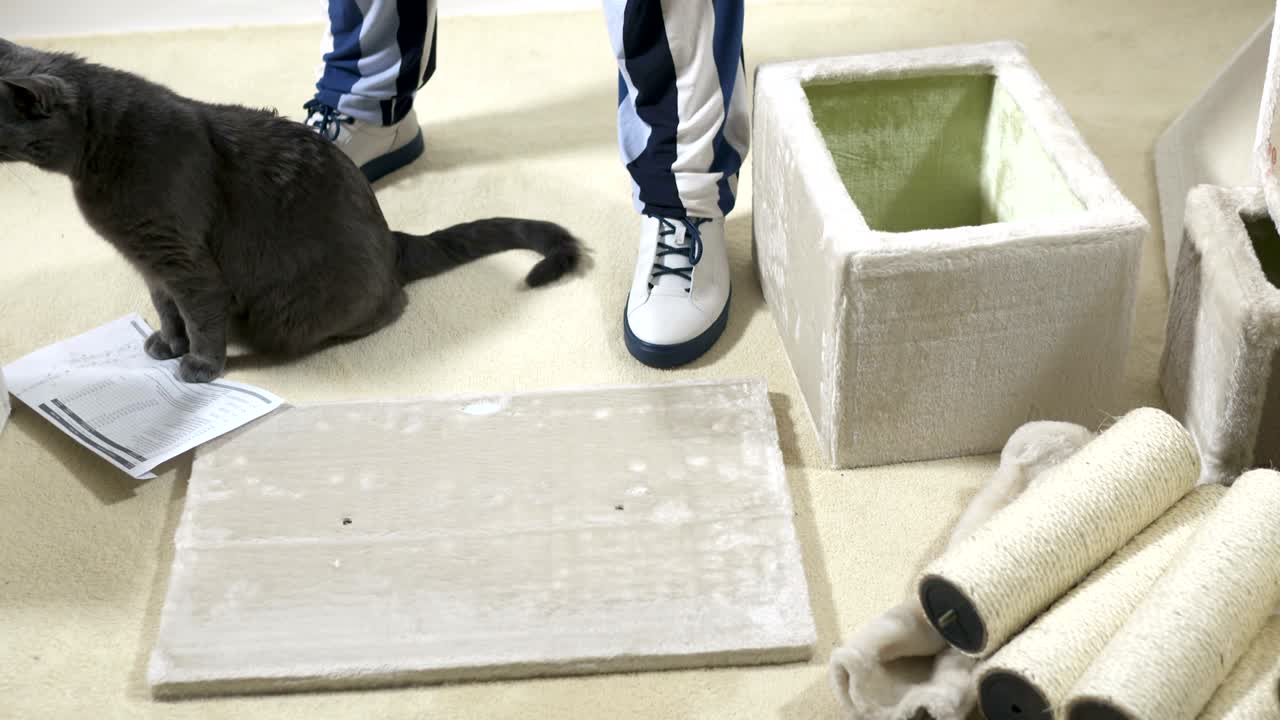 asamblea de condominios de casas de gatos en el árbol