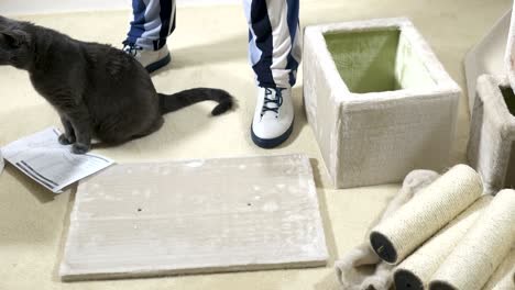cat tree house condo assembly