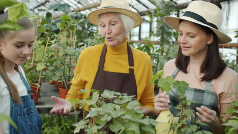 grandmother, daughter, and granddaughter in a greenhouse
