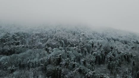 Vista-Aérea-Del-Bosque-Cubierto-De-Nieve-Brumosa,-Incline-Hacia-Arriba