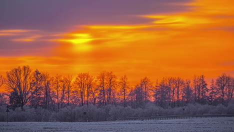 siluetas de caminos rurales y árboles durante el invierno contra el vibrante cielo de la puesta de sol
