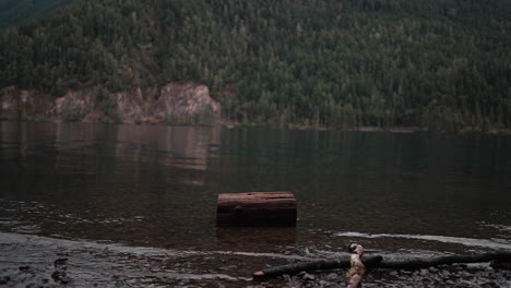 views of lake crescent on a cloudy autumn day. gentle waves ripple under moody skies, framed by mountains and vibrant fall trees.