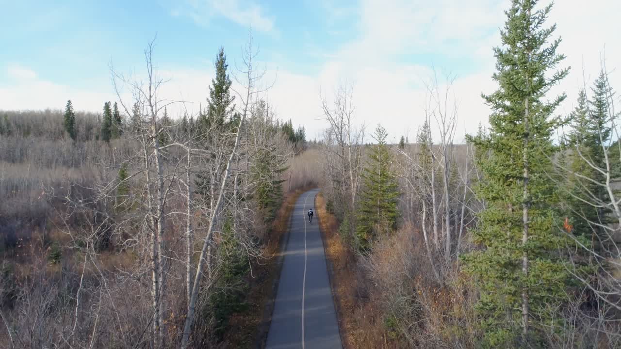 숲 4k의 시골 도로를 통해 자전거 타는 자전거 타기