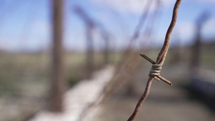 Abstract close-up of a rusty barded wire outdoors
