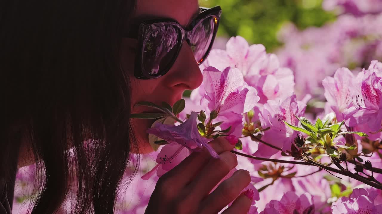 Close Up Slow Motion Of Woman Leaning To Smell Pink Rhododendron Blossoms