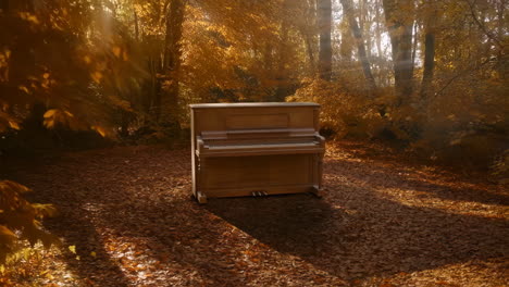 an upright piano sits among autumn leaves in a sunlit forest