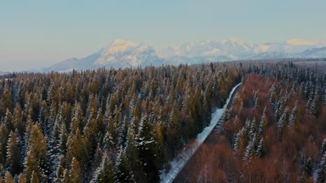 Aerial-Drone-Tatra-Mountain-Landscape-Tilt-Shot-Autumn-Winter-Road