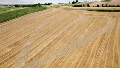 Escena-Rural-Con-Un-Diseño-En-Forma-De-Corazón-Sobre-Campos-Dorados.