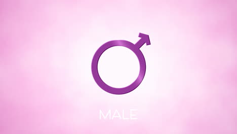 animation of male gender symbol, on pink background