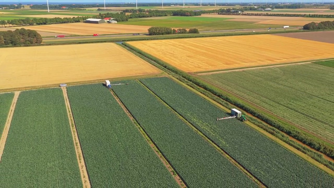 Vista aerea di macchinari agricoli che raccolgono colture in grandi campi