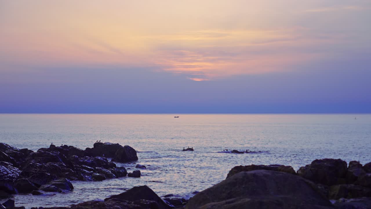 새와 흐린 일몰이 있는 바위 해안 실루엣