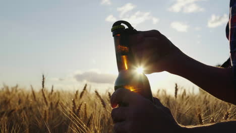 opening a bottle of beer against the backdrop of the barley field at sunset