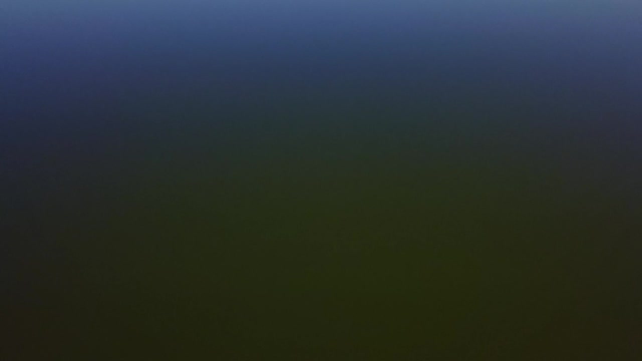 dron de la isla más rottnest