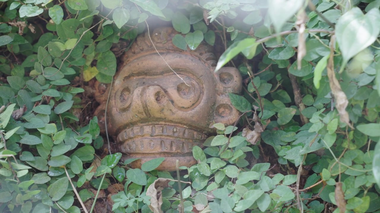 Plan rapproché statique d'une tête ou d'un artefact en pierre sculptée de style ancien, niché profondément au milieu de vignes et de feuilles vertes luxuriantes dans un jardin tropical