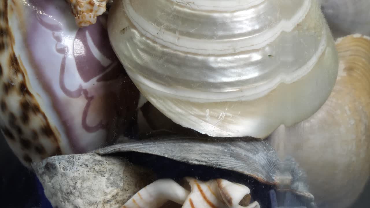 Close up of shells inside a glass bottle that is spinning and rotating