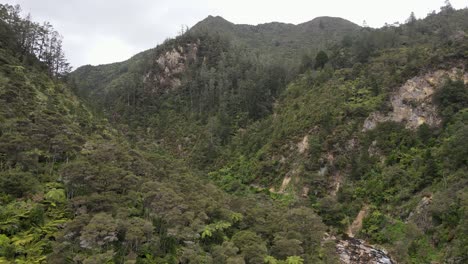 perspectiva de avión no tripulado del desfiladero de karangahake
