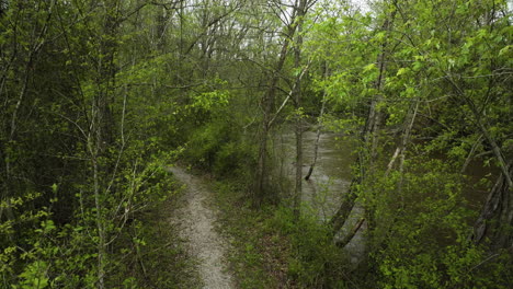 quiet woodland trail curving along a serene river in william b