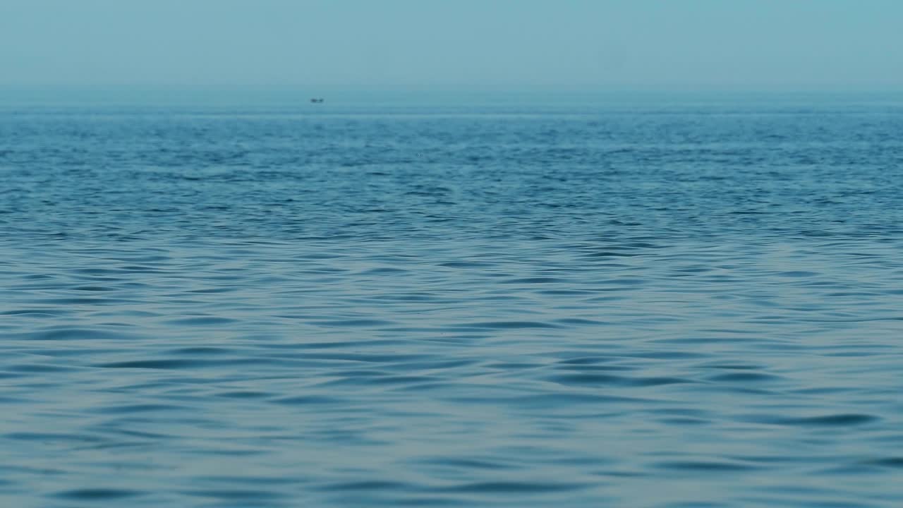 평온한 파도 배경 루프와 함께 해양 물 표면