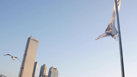 south korean flag with city buildings background