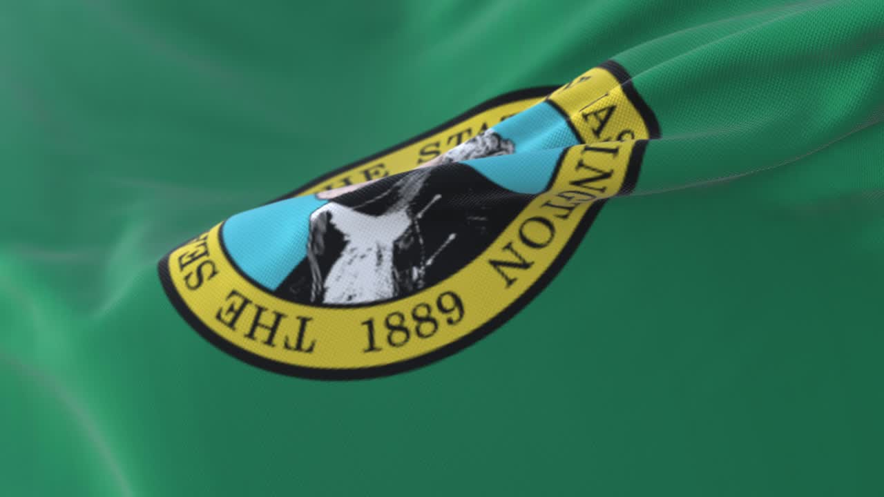 bandera del estado de washington, estados unidos de américa. bucle