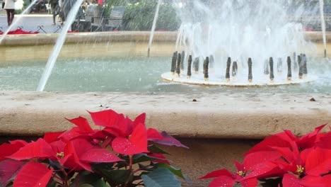 Medium-shot-of-the-fountain-of-Alzira's-main-square-decorated-with-Christmas-flowers